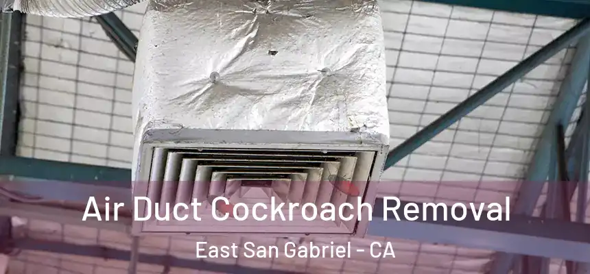  Air Duct Cockroach Removal East San Gabriel - CA