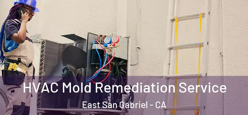  HVAC Mold Remediation Service East San Gabriel - CA