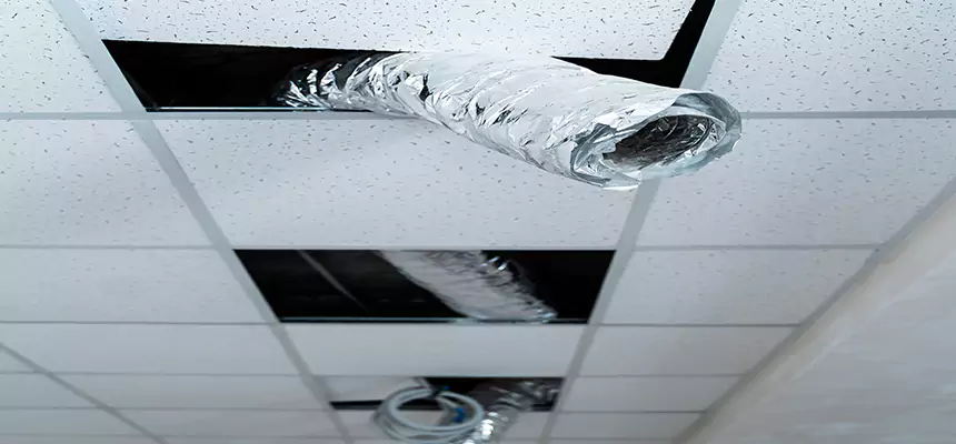 Our Air Duct Pet Hair Removal Services in East San Gabriel, CA