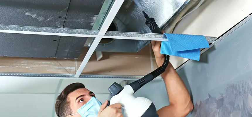 Our Air Duct Rodent Removal Services in East San Gabriel, CA
