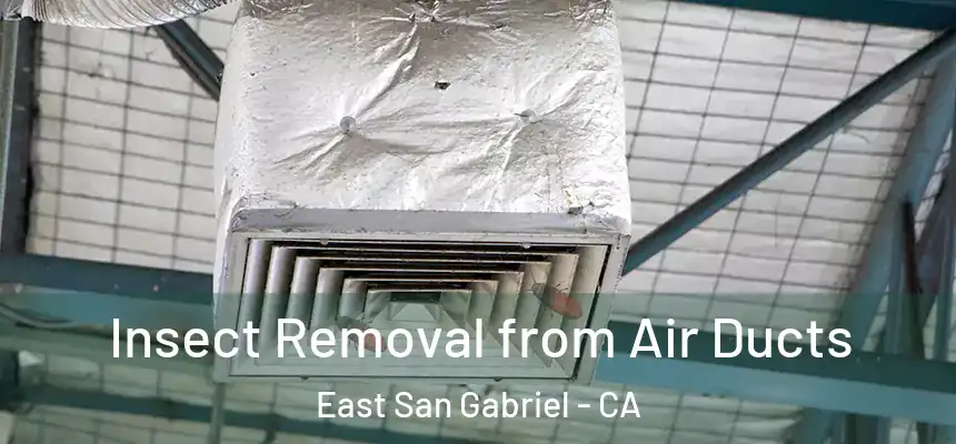  Insect Removal from Air Ducts East San Gabriel - CA
