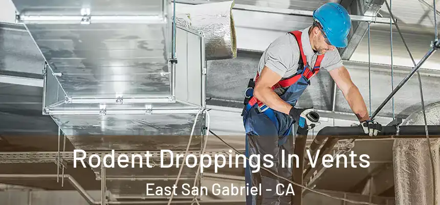  Rodent Droppings In Vents East San Gabriel - CA