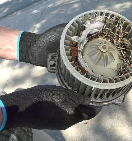 About Air Duct Rat Removal in East San Gabriel, CA