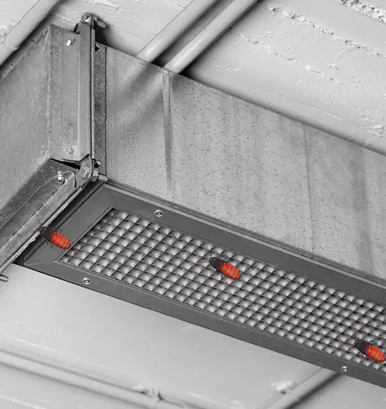 Affordable Insect Removal from Air Ducts in East San Gabriel, CA