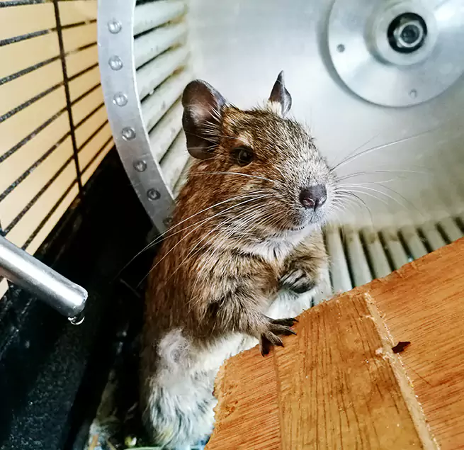 Why Homeowners & Businesses Trust Us East San Gabriel, CA?