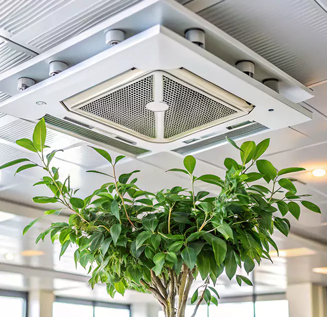 Why Homeowners & Businesses Trust Us in East San Gabriel, CA?