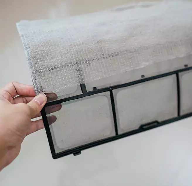 Why Homeowners & Businesses Trust Us in East San Gabriel, CA?